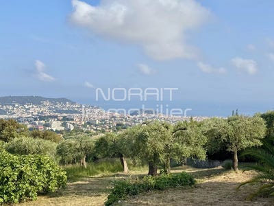 /international/fr/nice-provence-alpes-cote-d-azur-310098892616/