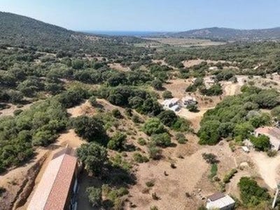 /international/fr/sollacaro-corsica-310100412404/