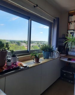 /international/fr/gradignan-nouvelle-aquitaine-310108969636/
