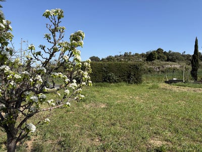 /international/fr/fouzilhon-languedoc-roussillon-310099629832/