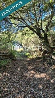 /international/fr/albitreccia-corsica-120098366217/