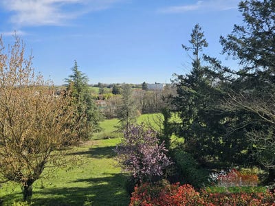 /international/fr/vienne-rhone-310108594528/