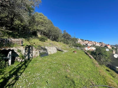 /international/fr/castifao-corsica-310108524059/
