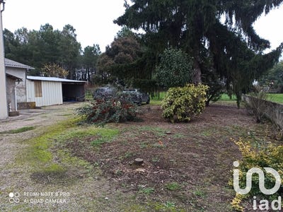 /international/fr/lamothe-landerron-aquitaine-310100369585/