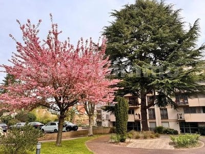 /international/fr/montgeron-ile-de-france-310105343316/