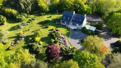 /international/fr/plouzevede-brittany-310108376876/