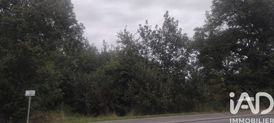/international/fr/vescheim-lorraine-310106063397/