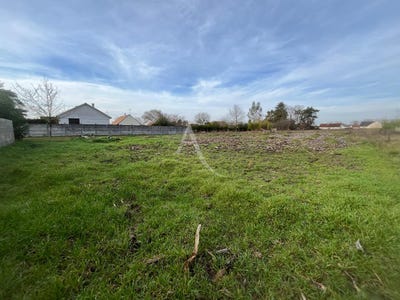 /international/fr/les-montils-centre-val-de-loire-310104469646/