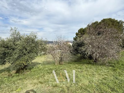 /international/fr/villeveyrac-languedoc-roussillon-310107623459/