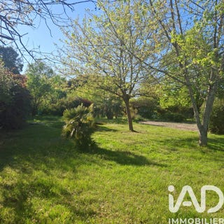 /international/fr/montauban-midi-pyrenees-310107423519/