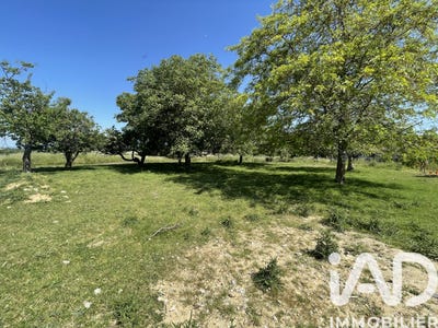 /international/fr/baziege-midi-pyrenees-310108319588/