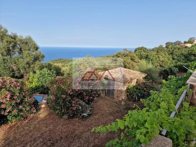 /international/fr/solenzara-corsica-120088133709/?lang=zh-cn