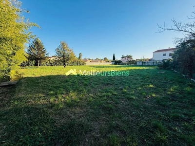 /international/fr/millas-languedoc-roussillon-310105695722/