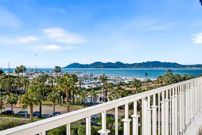 /international/fr/cannes-provence-alpes-cote-d-azur-310108944527/