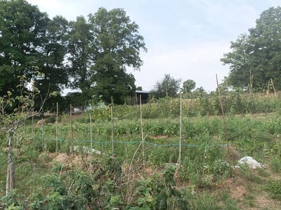 /international/fr/villiers-saint-benoit-burgundy-310104172739/