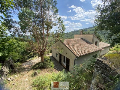 /international/fr/le-vigan-languedoc-roussillon-310108634052/