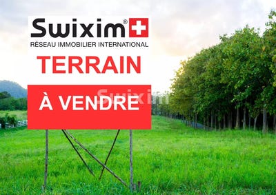 /international/fr/chatenois-alsace-310109094031/