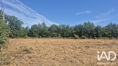 /international/fr/royeres-limousin-310105894203/