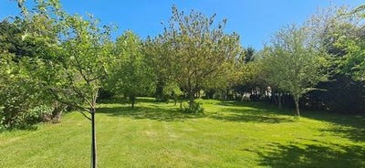 /international/fr/mazamet-midi-pyrenees-310107791641/