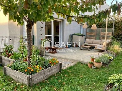 /international/fr/wintzenheim-alsace-310106463909/