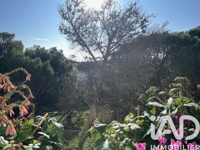 /international/fr/avignon-provence-alpes-cote-d-azur-310108320248/