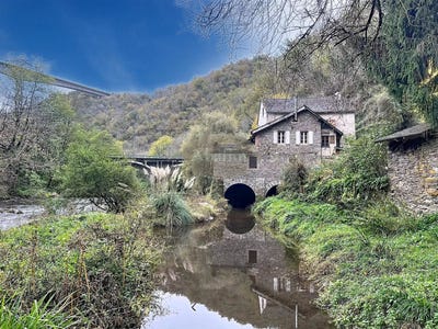 /international/fr/tanus-midi-pyrenees-310106068487/