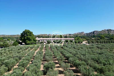 /international/fr/maussane-les-alpilles-provence-alpes-cote-d-azur-310101418840/?lang=id