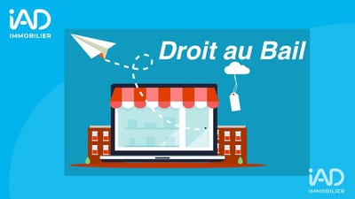 /international/fr/rennes-brittany-310103243284/