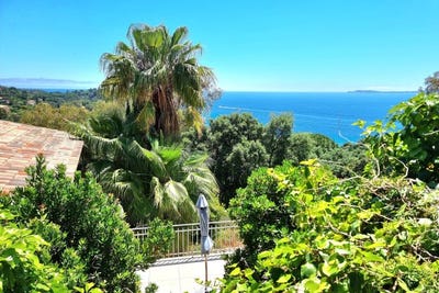 /international/fr/rayol-canadel-sur-mer-provence-alpes-cote-d-azur-310101355088/?lang=zh-tw