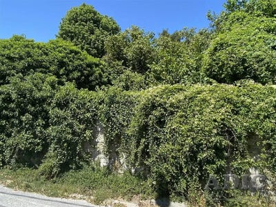 /international/fr/dammartin-en-goele-ile-de-france-310101035352/