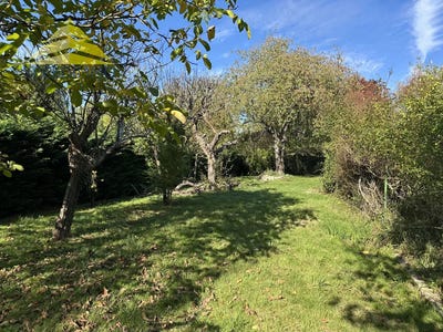 /international/fr/boussy-saint-antoine-ile-de-france-310102850184/