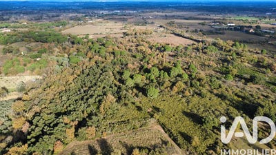 /international/fr/laroque-des-alberes-languedoc-roussillon-310104298983/