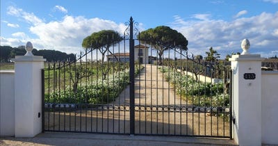 /international/fr/marseillan-languedoc-roussillon-310110140314/