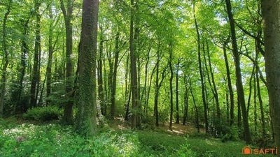/international/fr/saint-gatien-des-bois-la-basse-normandie-310108422088/