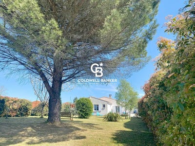 /international/fr/bussac-sur-charente-charente-310098906219/