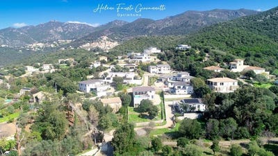 /international/fr/oletta-corsica-310106605790/