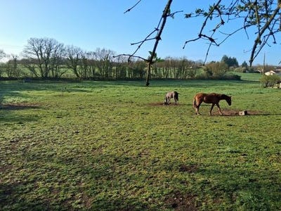 /international/fr/maine-de-boixe-charente-310104984758/