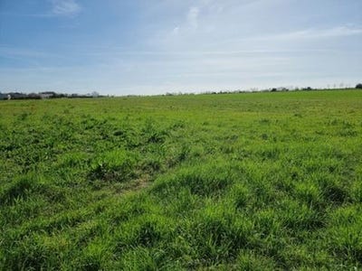 /international/fr/surgeres-charente-120096586833/
