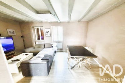 /international/fr/descartes-centre-val-de-loire-310106855292/