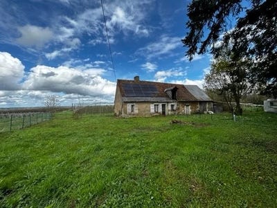 /international/fr/chenu-pays-de-la-loire-120083654836/