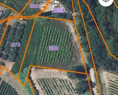 /international/fr/sabran-languedoc-roussillon-310106287478/