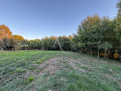 /international/fr/montans-midi-pyrenees-310104463161/