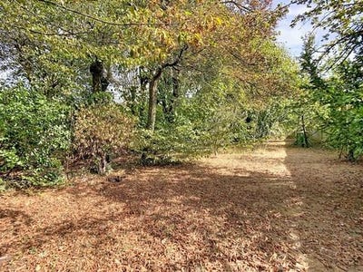 /international/fr/le-plessis-trevise-ile-de-france-310110265374/