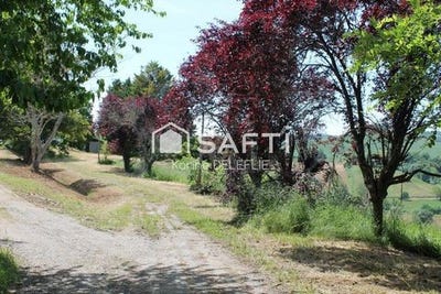 /international/fr/rieumes-midi-pyrenees-310108137106/
