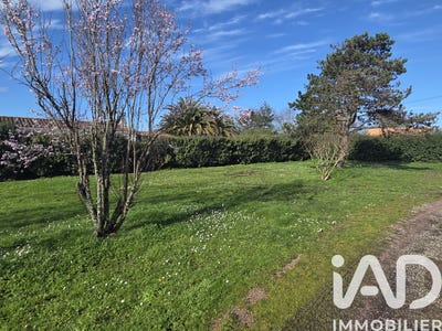 /international/fr/le-chateau-d-oleron-charente-310106132281/