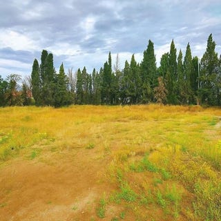 /international/fr/rivesaltes-languedoc-roussillon-310099951345/