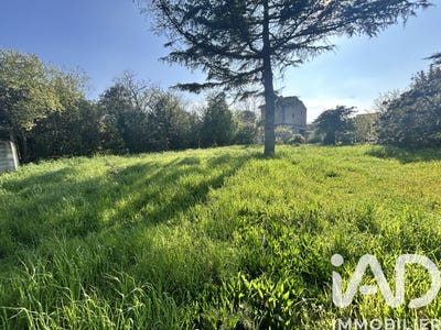/international/fr/toulouse-midi-pyrenees-310106991757/
