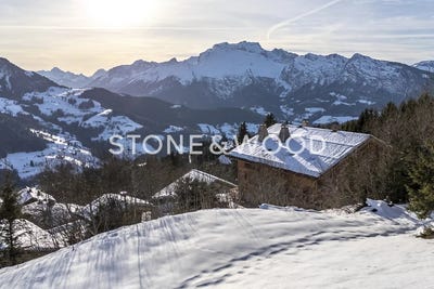 /international/fr/manigod-rhone-310104990819/