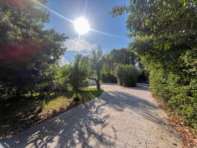 /international/fr/saint-cyprien-rhone-310108211987/