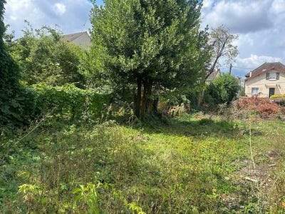 /international/fr/champigny-sur-marne-ile-de-france-310101384315/